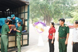(Ảnh minh họa: TTXVN phát)