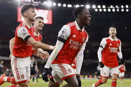 Premier League: Arsenal, Liverpool chiến thắng, Newcastle lên top 2