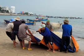 Ngư dân Vũng Tàu trúng lộc biển, thu cả triệu đồng mỗi ngày