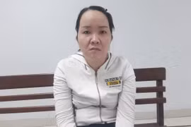 Đà Nẵng: Bắt tạm giam đối tượng tham ô tài sản tại trường mầm non