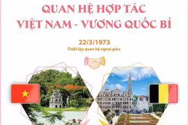 [Infographics] Quan hệ Việt-Bỉ phát triển tích cực trên mọi lĩnh vực