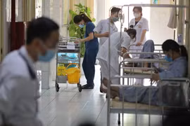 Bệnh nhân mắc sốt xuất huyết đang điều trị. (Ảnh minh họa: Minh Quyết/TTXVN)