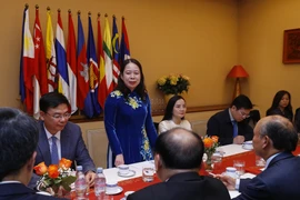 Phó Chủ tịch nước Võ Thị Ánh Xuân gặp gỡ cộng đồng người Việt tại Pháp