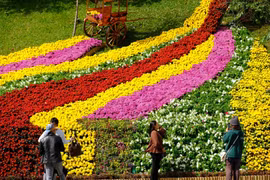[Photo] Nghìn hoa khoe sắc trước thềm khai mạc Festival hoa Đà Lạt