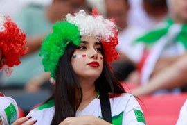 Những bóng hồng xinh đẹp trên các khán đài World Cup 2022