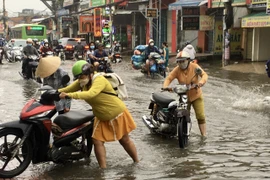 Vĩnh Long: Tập trung ứng phó với các đợt triều cường dâng cao