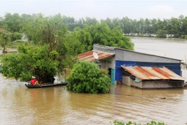 Khu vực ven sông Vàm Cỏ Đông, thuộc xã Thanh Điền, huyện Châu Thành, tỉnh Tây Ninh bị ngập lụt do mưa lớn, nước sông dân cao. (Ảnh: Lê Đức Hoảnh/TTXVN)