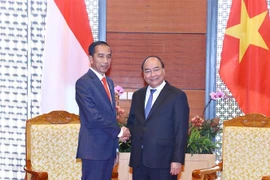 Thủ tướng Nguyễn Xuân Phúc hội kiến Tổng thống Indonesia Joko Widodo. (Ảnh: Thống Nhất/TTXVN)