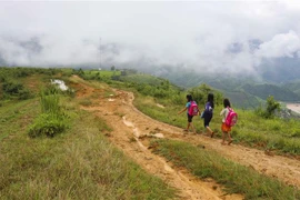 (Ảnh minh họa: Xuân Tư/TTXVN)