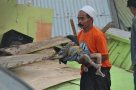 Chuyển thi thể một em nhỏ sau động đất kèm sóng thần ở Palu, đảo Sulawesi, Indonesia ngày 29/9/2018. (Ảnh: AFP/TTXVN)