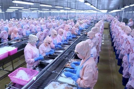 (Ảnh minh họa: Vũ Sinh/TTXVN)