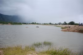 (Ảnh minh họa: Hoài Thu/TTXVN)