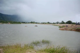 (Ảnh minh họa: Hoài Thu/TTXVN)
