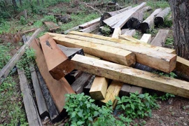 (Ảnh minh họa: Hưng Thịnh/TTXVN)