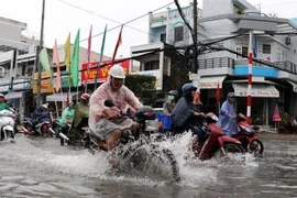 (Ảnh minh họa: Kim Há/TTXVN)