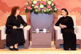 Chủ tịch Quốc hội Nguyễn Thị Kim Ngân tiếp bà Olga Epifanova, Phó Chủ tịch Duma quốc gia Liên bang Nga. (Ảnh: Trọng Đức/TTXVN)