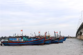 Các tàu cá công suất lớn của ngư dân Quảng Trị. (Ảnh: Nguyên Lý/TTXVN)
