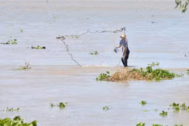 (Ảnh minh họa: Công Mạo/TTXVN)