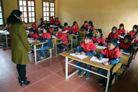 (Ảnh minh họa: Diệp Anh/TTXVN)