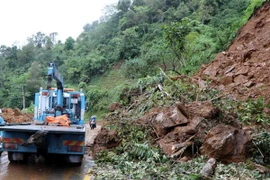 (Ảnh minh họa: Công Tuyên/TTXVN)