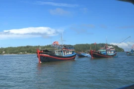 (Ảnh minh họa: Ngọc Hà/TTXVN)