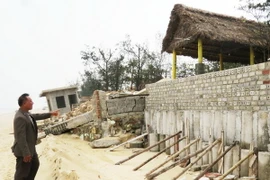 Các hộ kinh doanh tự đầu tư xây dựng lại bờ kè tạm thời để giữ đất. (Ảnh: Võ Dung/TTXVN)