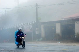 (Ảnh minh họa: Văn Dũng/TTXVN)