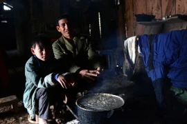 (Ảnh minh họa: Văn Dũng/TTXVN)