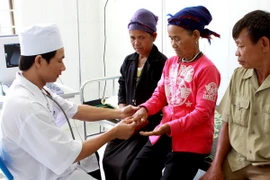 (Ảnh minh họa: Dương Ngọc/TTXVN)