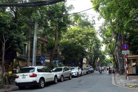 (Ảnh minh họa: Huy Hùng/TTXVN)