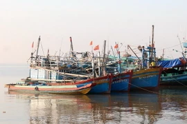 Tàu cá neo đậu tránh bão bên bờ biển Tây thành phố Rạch Giá (Kiên Giang). (Ảnh: Lê Huy Hải/TTXVN)