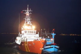 (Ảnh minh họa: Trần Lê Lâm/TTXVN)