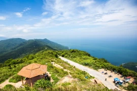 (Ảnh minh họa: Trọng Đạt/TTXVN)