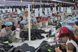 May hàng xuất khẩu tại Công ty Cổ phần Dệt may Huế. (Ảnh: Quốc Việt/TTXVN)