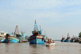 Bộ đội Biên phòng Cửa Đại, Bộ Chỉ huy Bộ đội Biên phòng Bến Tre kêu gọi, hướng dẫn tàu thuyền vào khu tránh trú bão. (Ảnh: Thu Hiền/TTXVN)