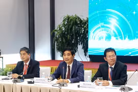 Phiên hội thảo có chủ đề: “Phát triển thương mại điện tử thúc đẩy kinh tế số tại Việt Nam.” (Ảnh: BKT/Vietnam+)