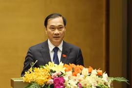 Chủ nhiệm Ủy ban Kinh tế của Quốc hội Vũ Hồng Thanh trình bày Báo cáo tại phiên họp sáng 20/5.
