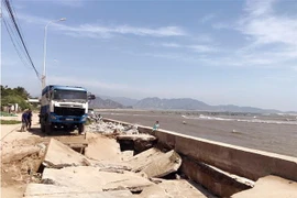 Tuyến đê kè ven biển của phường Đông Hải bị sóng biển xâm thực gây sạt lở nghiêm trọng. (Ảnh: Công Thử/TTXVN)