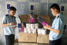 (Ảnh: Văn Đức/Vietnam+)