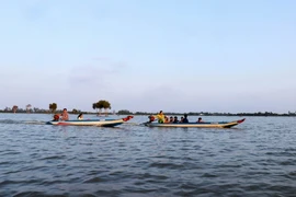 (Ảnh: Bùi Giang/TTXVN)