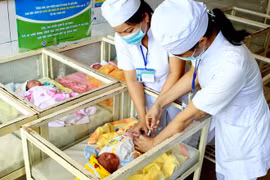 Tiêm vắcxin phòng viêm gan B cho trẻ sơ sinh. (Nguồn: TTXVN)