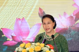 (Ảnh: Trọng Đức/TTXVN)