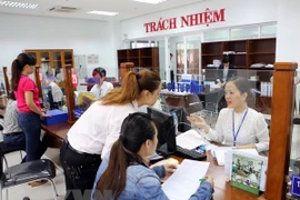 Ảnh minh họa. (Nguồn: TTXVN)