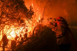 Các đám cháy rừng lan rộng ở Malibu, California.