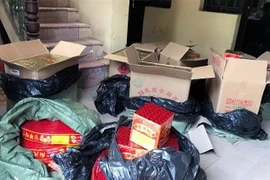 Tang vật vụ việc. (Ảnh: Dương Hiệp/TTXVN)