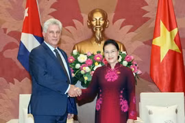 Chủ tịch Quốc hội Nguyễn Thị Kim Ngân hội kiến Chủ tịch Hội đồng Nhà nước và Hội đồng Bộ trưởng Cộng hòa Cuba Miguel Mario Díaz-Canel Bermúdez. (Ảnh: Trọng Đức/TTXVN)