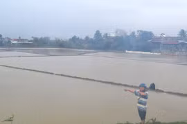 Mưa lớn cộng với việc hồ Đồng Tròn xả lũ khiến đường liên xã tại vị trí cầu Cây Cam (huyện Tuy An, tỉnh Phú Yên) bị ngập không thể đi lại (ảnh chụp ngày 29/12). (Ảnh: Thế Lập/TTXVN)