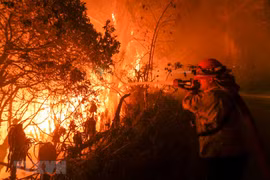 Nhân viên cứu hỏa nỗ lực khống chế các đám cháy rừng ở Malibu, California. (Ảnh: THX/TTXVN)