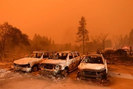 Xe ôtô bị thiêu rụi trong vụ cháy rừng ở Paradise, bang California, Mỹ, ngày 9/11/2018. (Ảnh: AFP/TTXVN)