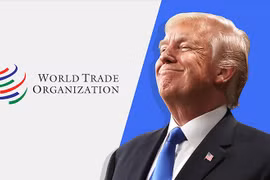 (Nguồn: CNN)